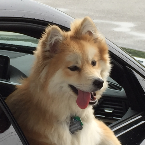 Meet your Posher, Jeff - Picture 2 of 8